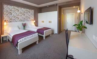 Отель Continental Hotel Одесса Двухместный номер «Комфорт» с 1 кроватью или 2 отдельными кроватями-2